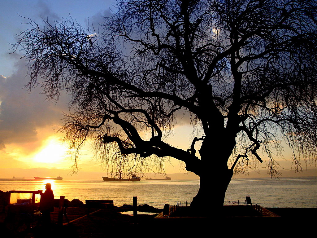 The sunrise in Eskihisar